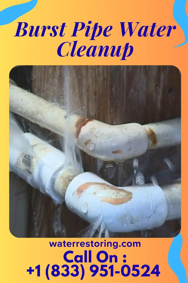 Burst Pipe Water Cleanup in Merchantville, NJ