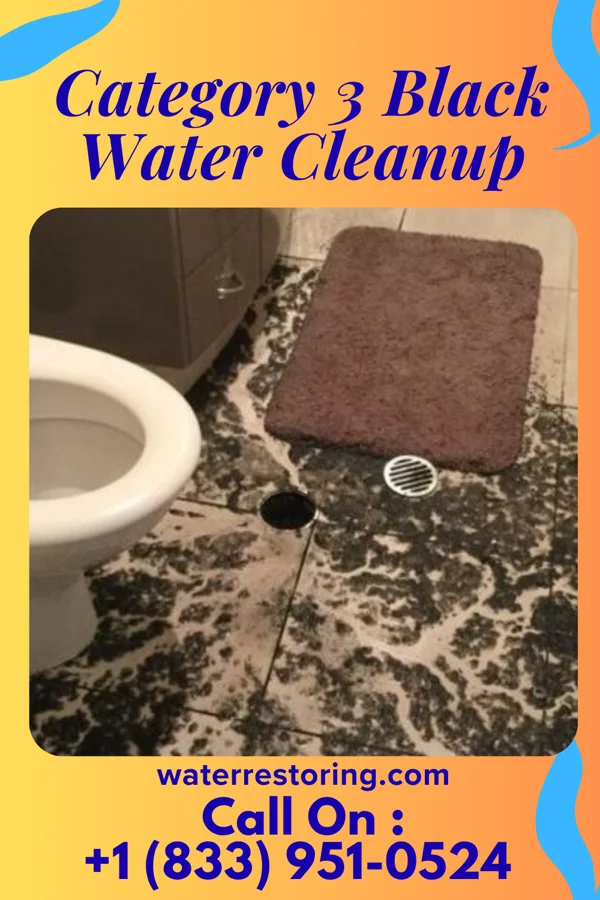 Category 3 Black Water Cleanup in Merchantville, NJ