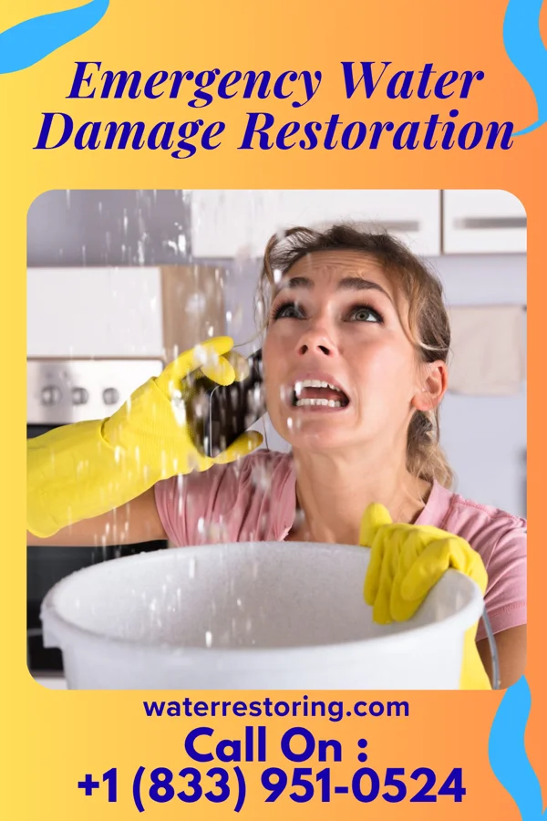 Emergency Water Damage Restoration in Merchantville, NJ