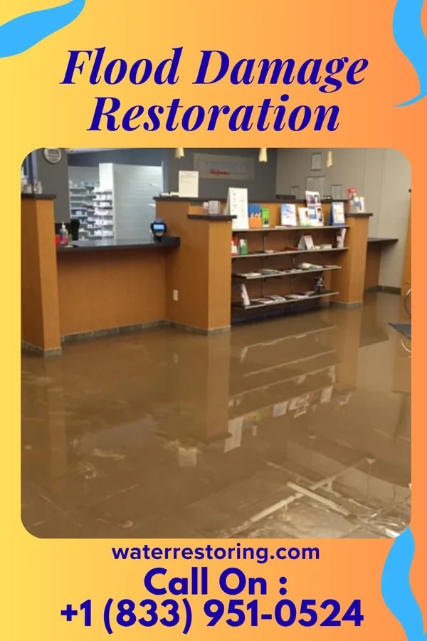 Flood Damage Restoration in Merchantville, NJ