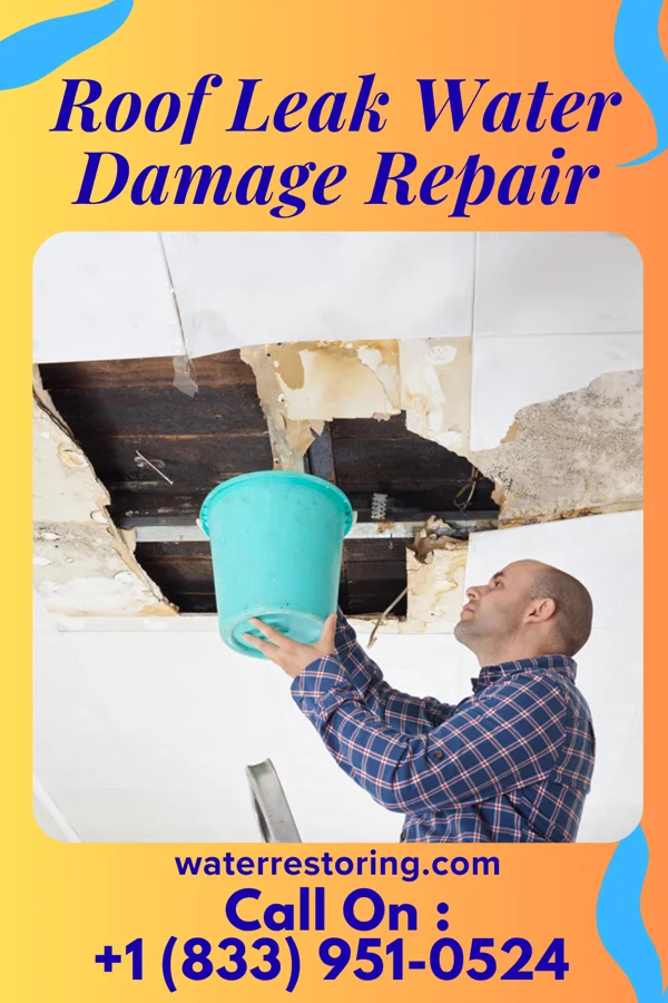 Roof Leak Water Damage Repair in Merchantville, NJ